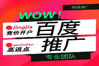 竞价排名在电商行业的实战案例